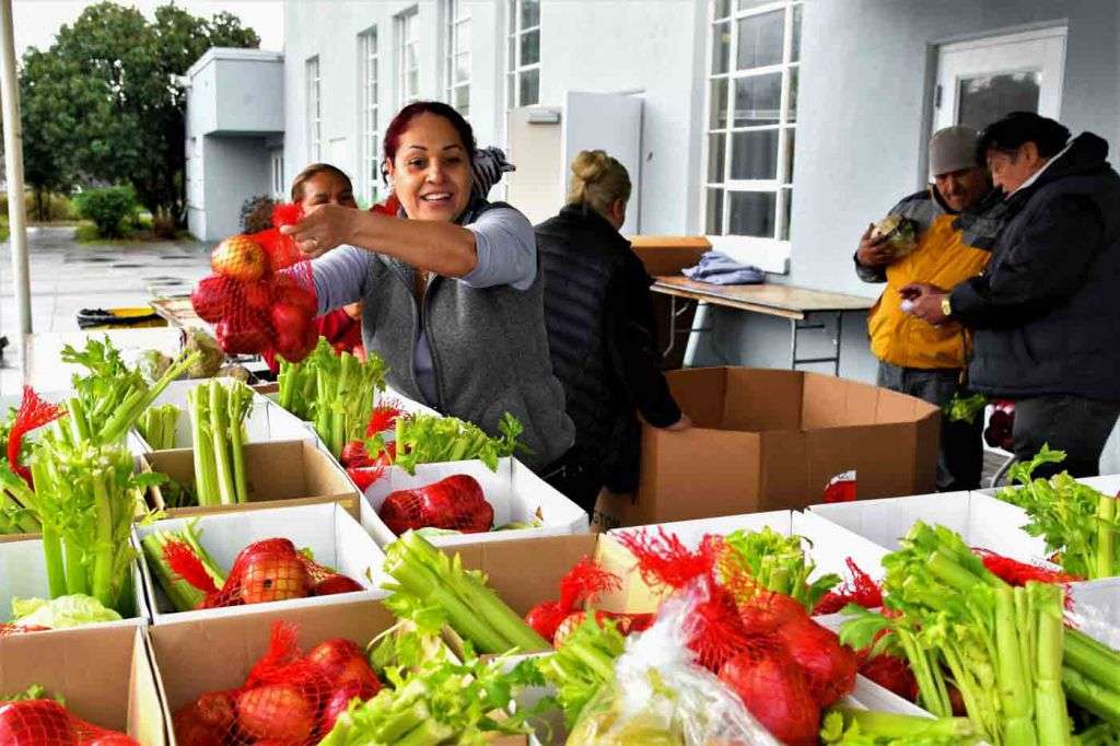 Volunteer at pantry sorting and distributing food in boxes showing fruits and vegetables