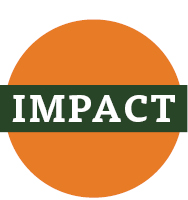 Impact Graphic: Impact