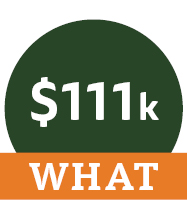 $111,000 Maximum What Graphic: $111,000